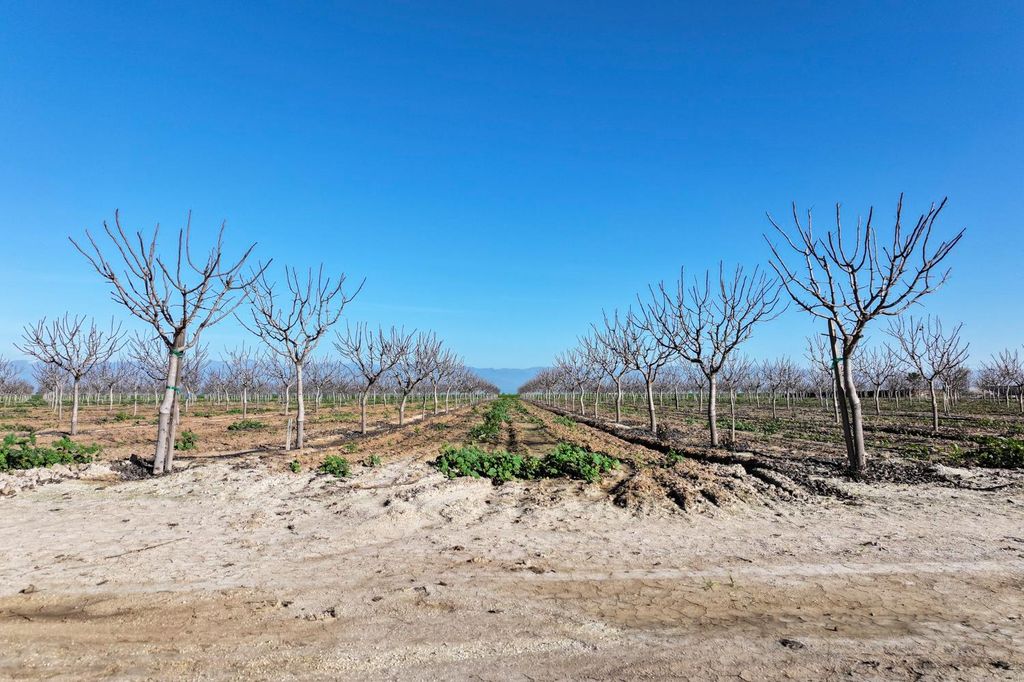 Image 3 of property listing at 8000 Road 208, Terra Bella, CA 93270