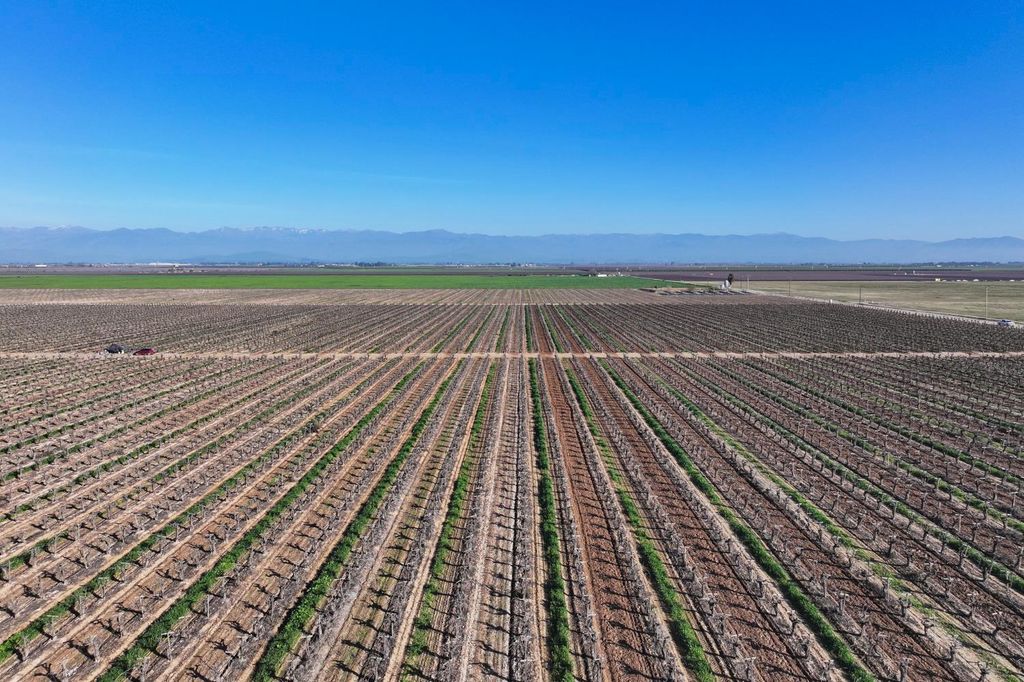 Image 4 of property listing at 8000 Road 208, Terra Bella, CA 93270