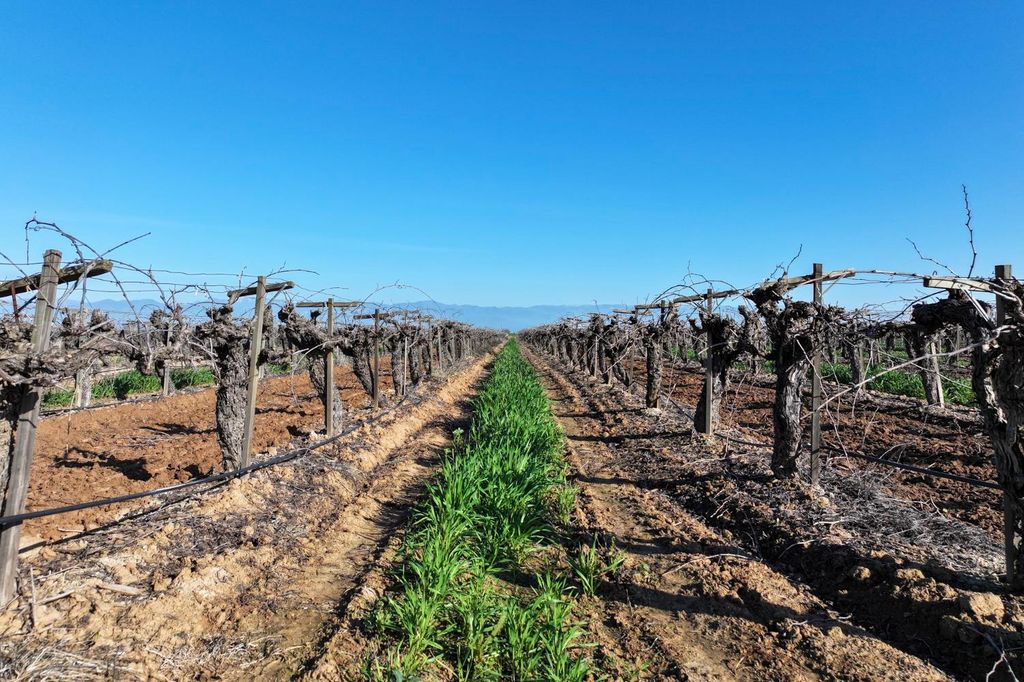 Image 5 of property listing at 8000 Road 208, Terra Bella, CA 93270