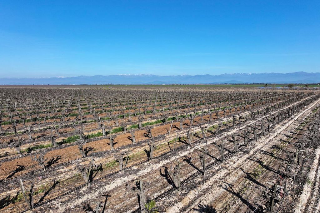 Image 6 of property listing at 8000 Road 208, Terra Bella, CA 93270