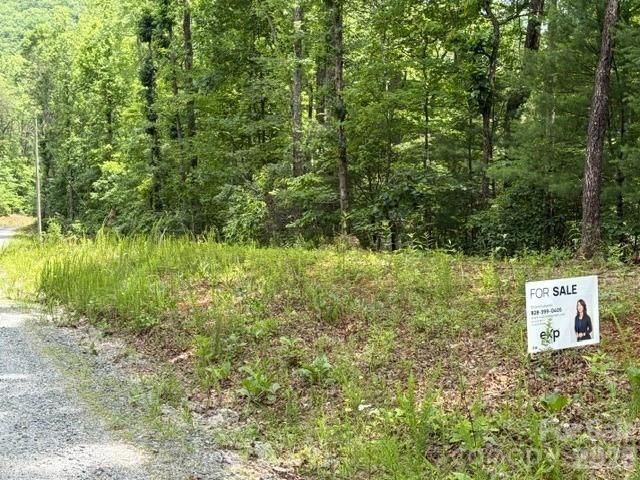 0 Pear tree Drive, Lake Lure, NC 28746