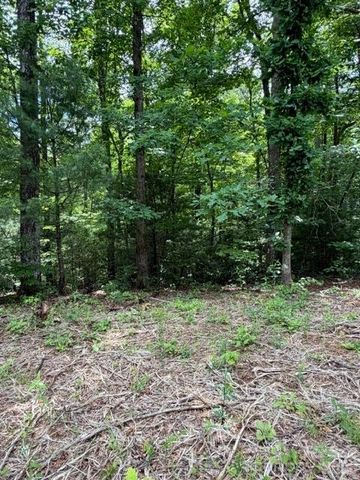 0 Pear tree Drive, Lake Lure, NC 28746