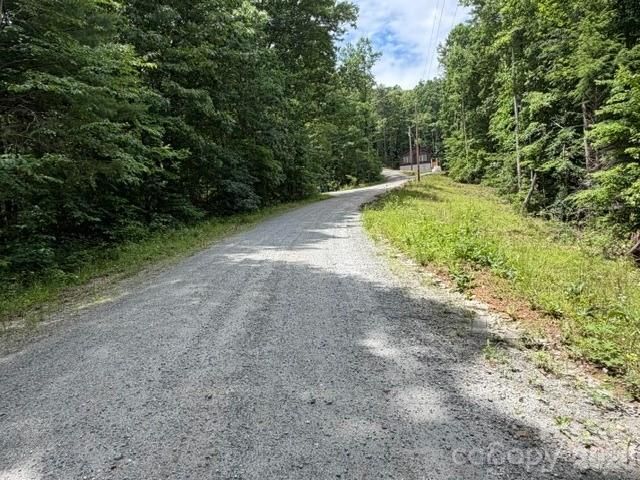 0 Pear tree Drive, Lake Lure, NC 28746
