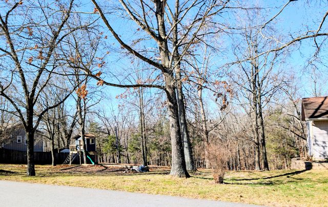 35 Hilltop Lane, Branson, MO 65616