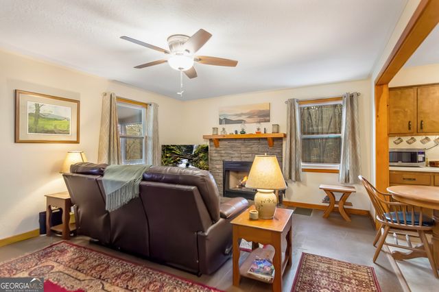 82 Dawgs Drive, Mineral Bluff, GA 30559