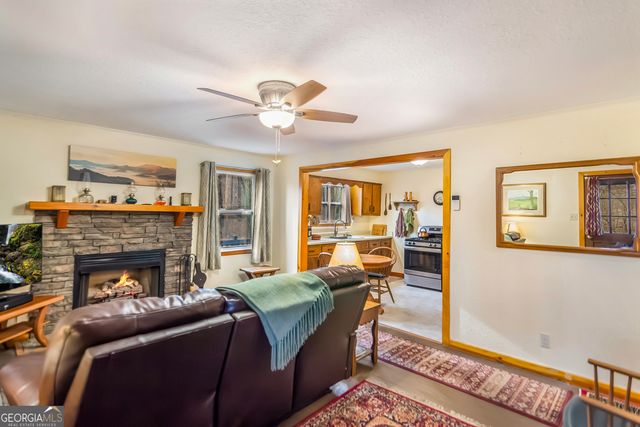 82 Dawgs Drive, Mineral Bluff, GA 30559