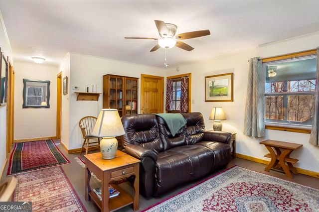 82 Dawgs Drive, Mineral Bluff, GA 30559