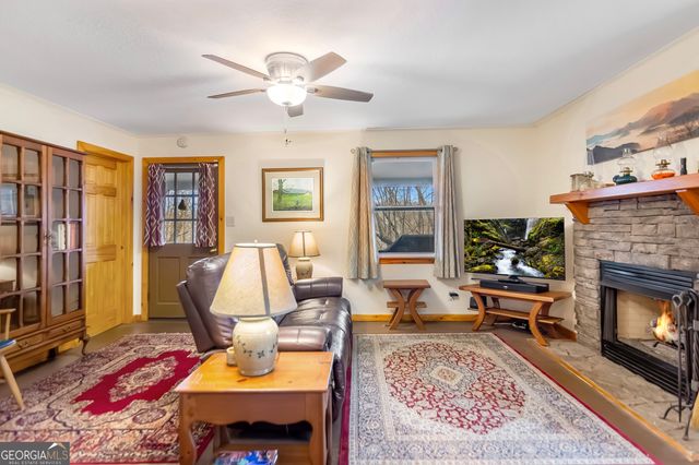 82 Dawgs Drive, Mineral Bluff, GA 30559