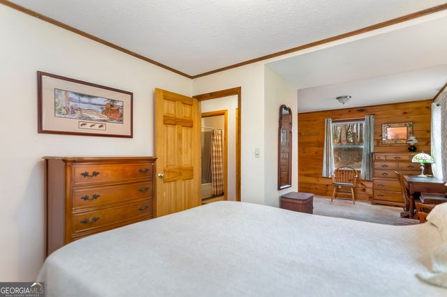 82 Dawgs Drive, Mineral Bluff, GA 30559