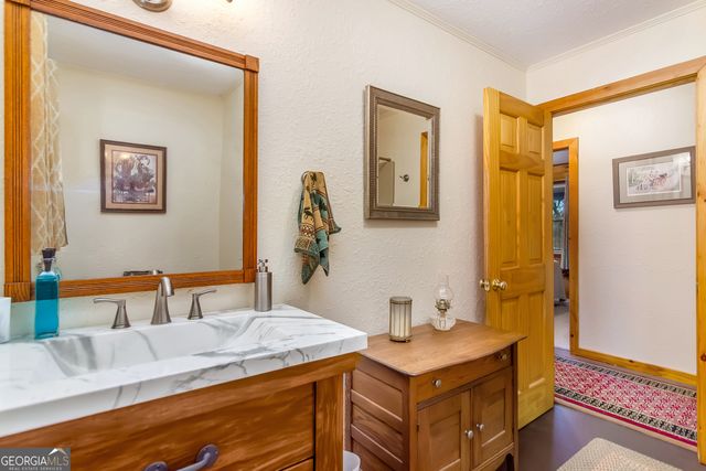 82 Dawgs Drive, Mineral Bluff, GA 30559