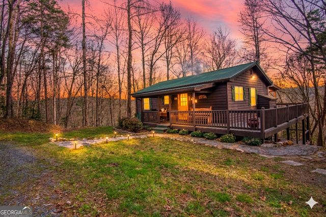 82 Dawgs Drive, Mineral Bluff, GA 30559