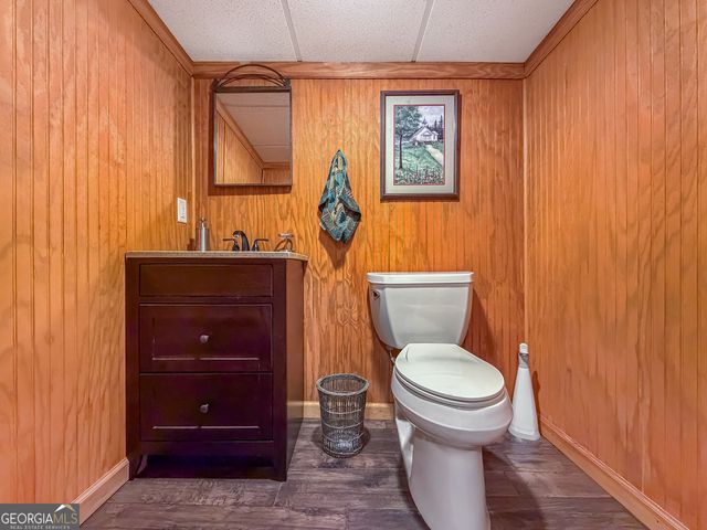 82 Dawgs Drive, Mineral Bluff, GA 30559