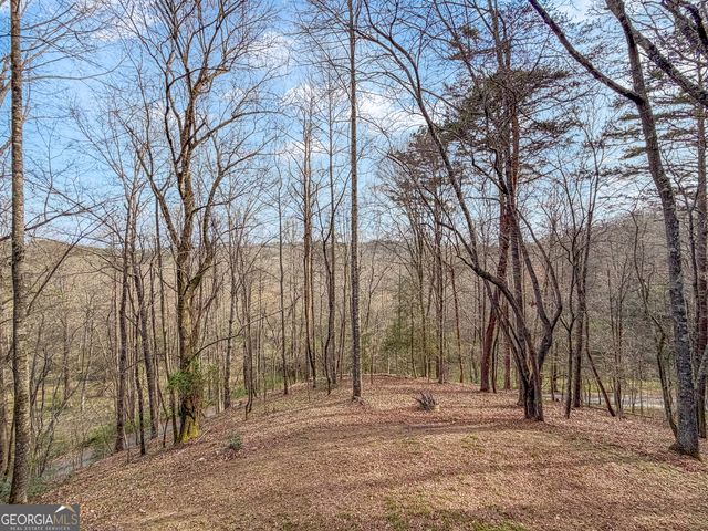 82 Dawgs Drive, Mineral Bluff, GA 30559