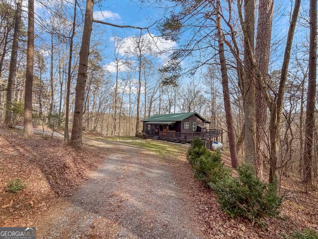 82 Dawgs Drive, Mineral Bluff, GA 30559