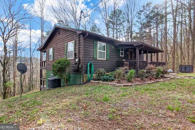 82 Dawgs Drive, Mineral Bluff, GA 30559