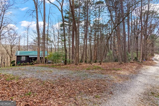 82 Dawgs Drive, Mineral Bluff, GA 30559