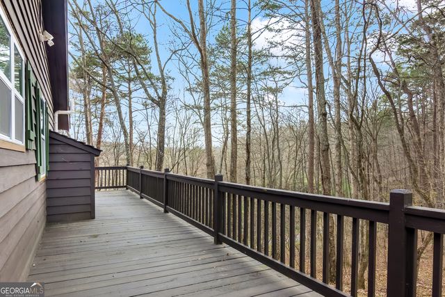 82 Dawgs Drive, Mineral Bluff, GA 30559