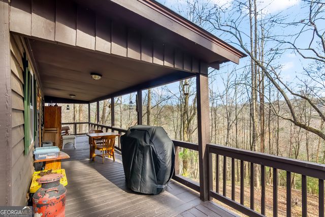 82 Dawgs Drive, Mineral Bluff, GA 30559