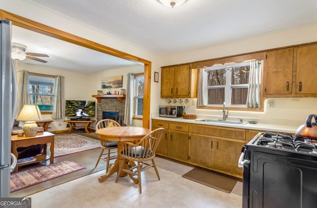 82 Dawgs Drive, Mineral Bluff, GA 30559