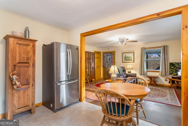 82 Dawgs Drive, Mineral Bluff, GA 30559
