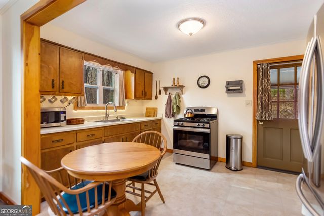 82 Dawgs Drive, Mineral Bluff, GA 30559