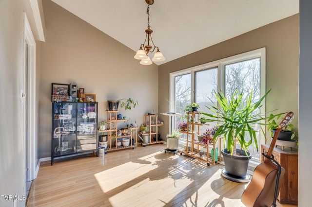 316 Hickory Bluff 0, Johnson City, TN 37601