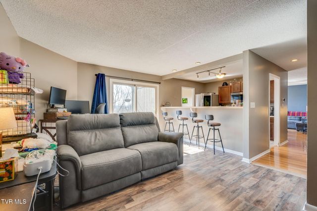 316 Hickory Bluff 0, Johnson City, TN 37601