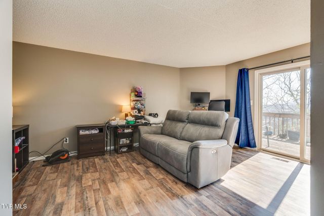 316 Hickory Bluff 0, Johnson City, TN 37601