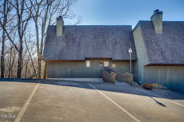 316 Hickory Bluff 0, Johnson City, TN 37601