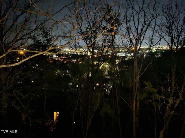 316 Hickory Bluff 0, Johnson City, TN 37601