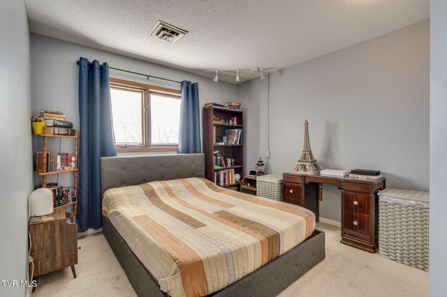 316 Hickory Bluff 0, Johnson City, TN 37601