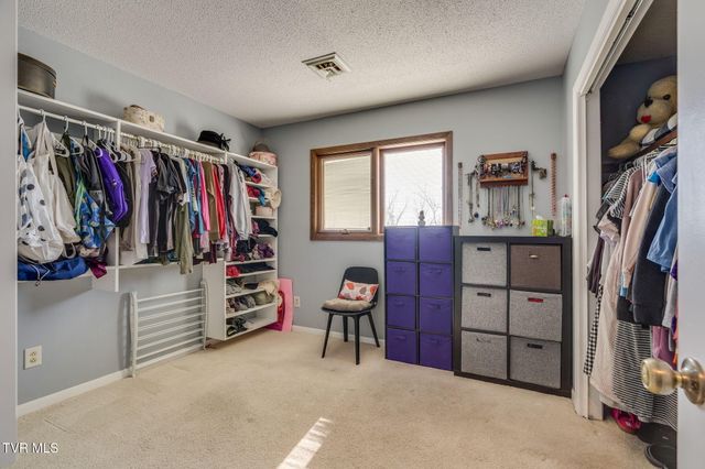 316 Hickory Bluff 0, Johnson City, TN 37601