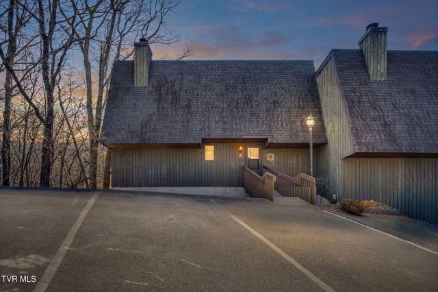 316 Hickory Bluff 0, Johnson City, TN 37601