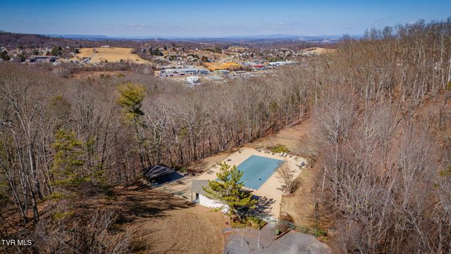 316 Hickory Bluff 0, Johnson City, TN 37601