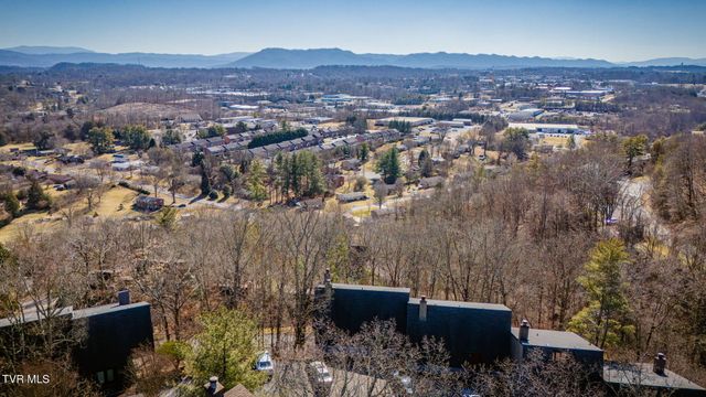 316 Hickory Bluff 0, Johnson City, TN 37601