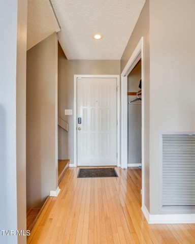 316 Hickory Bluff 0, Johnson City, TN 37601