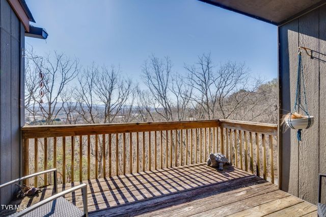 316 Hickory Bluff 0, Johnson City, TN 37601