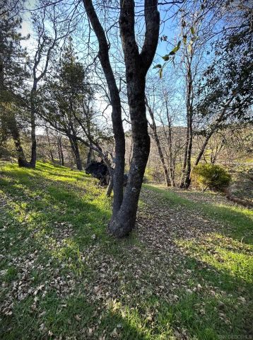 721 Pine Cone Drive, Julian, CA 92036