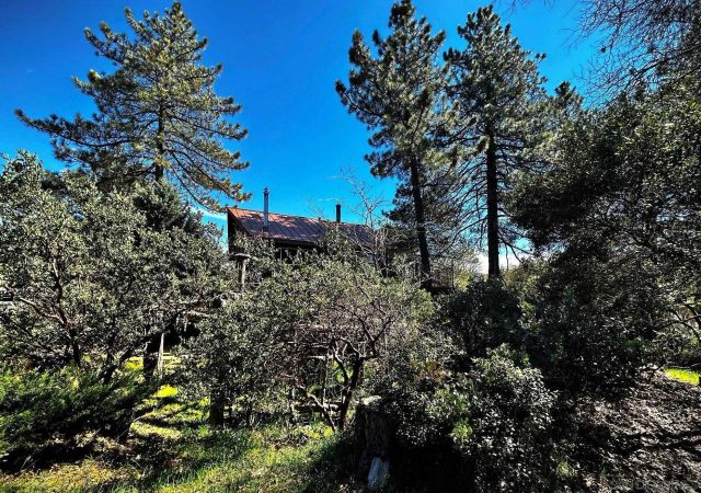 721 Pine Cone Drive, Julian, CA 92036