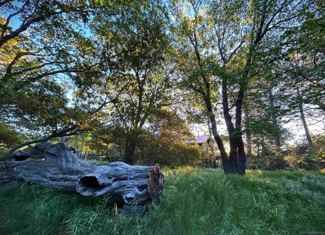 721 Pine Cone Drive, Julian, CA 92036