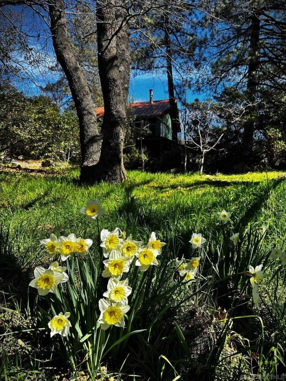 721 Pine Cone Drive, Julian, CA 92036