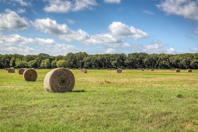 Lot 1 County Road 120, Wills Point, TX 75169