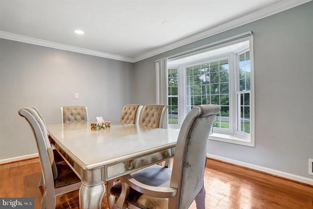 6613 ELDER AVE, Springfield, VA 22150