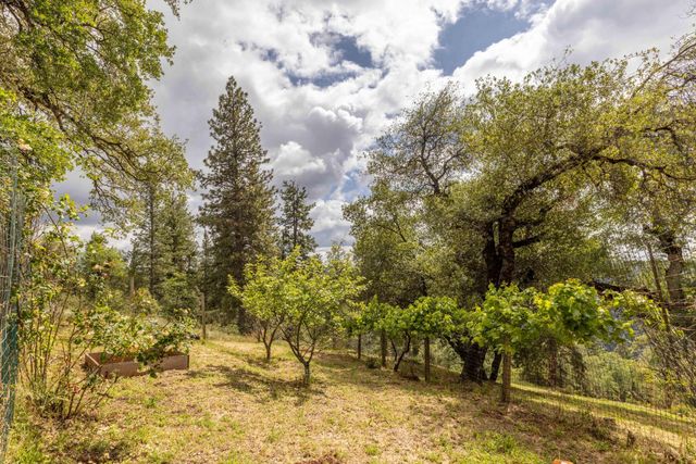 7410 White Oak Dr, Placerville, CA 95667