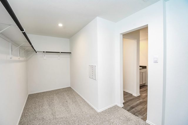 14919 Clay Harvest Ridge, Magnolia, TX 77354