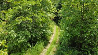 00 TBD Long Shoal Branch, Beattyville, KY 41311