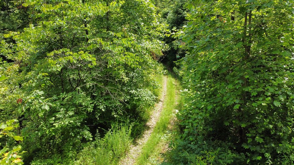 00 TBD Long Shoal Branch, Beattyville, KY 41311