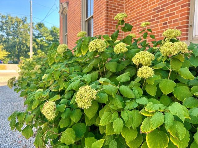 327 S Marion Street, Cardington, OH 43315