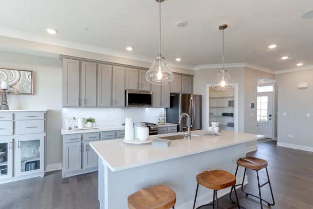 25500 W Emory Lane, Plainfield, IL 60544