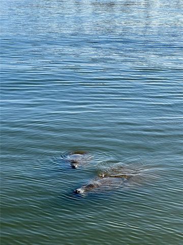 19029 US HIGHWAY 19 N 28B, Clearwater, FL 33764